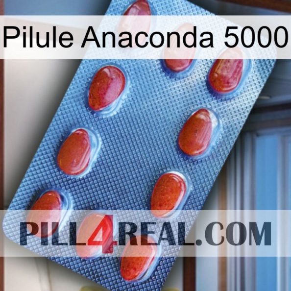 Anaconda 5000 Pill 06.jpg